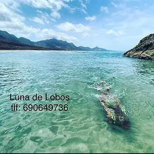 las-olas-de-lobos-corralejo.in-canary-islands.com/